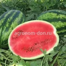 Семена арбуза Бомба F1 Семена арбуза Бомба F1