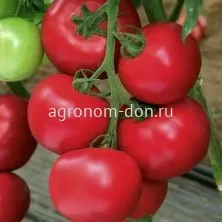 Семена томата Пинк Уникум F1 Семена томата Пинк Уникум F1