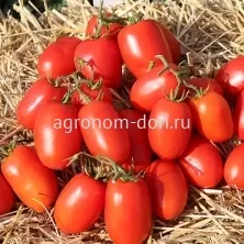 Семена томата Дино F1 Семена томата Дино F1