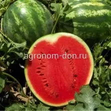 Семена арбуза Ау Продюссер Семена арбуза Ау Продюссер